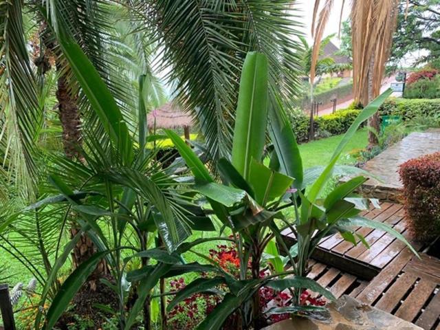 Palm Garden Resort Gisenyi Exterior photo